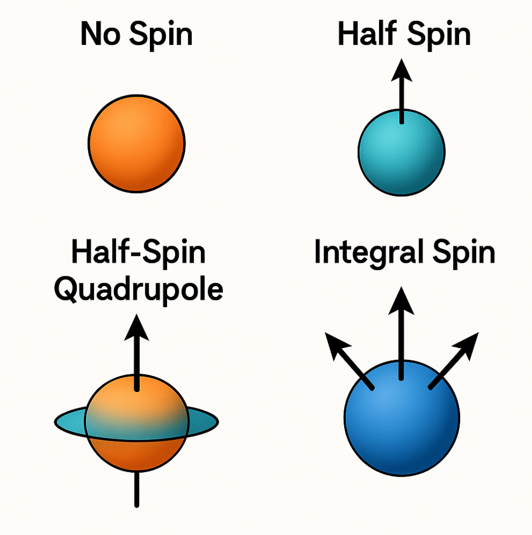 spin images